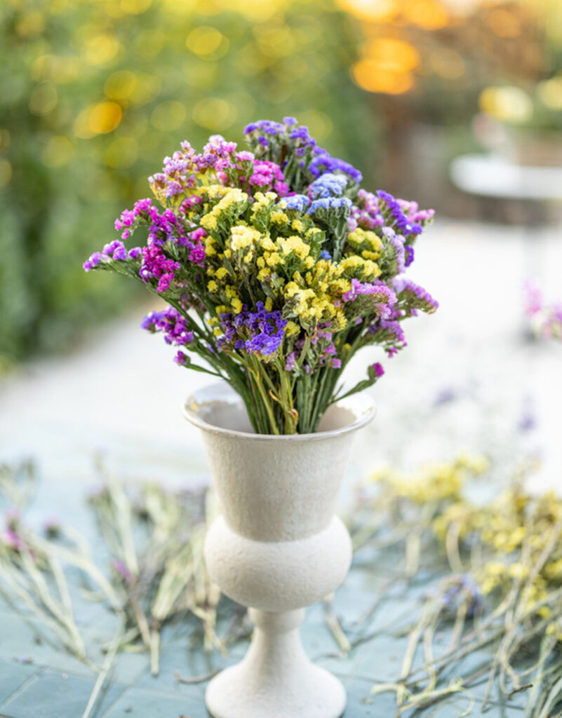 Limonium - veleprodaja rezanog cveća - NaiBel Flowers LTD doo Beograd
